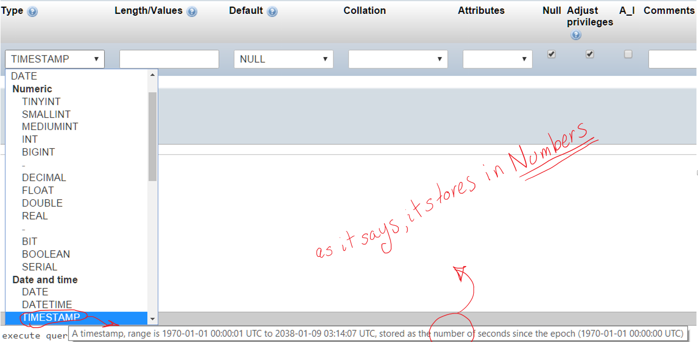 PHPMYADMIN datetime Формат. Tinyint. Временная метка. Timestamp.