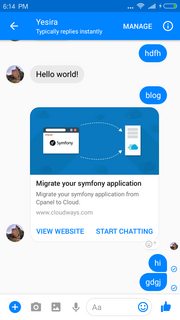 Скриншот бота Facebook Messenger